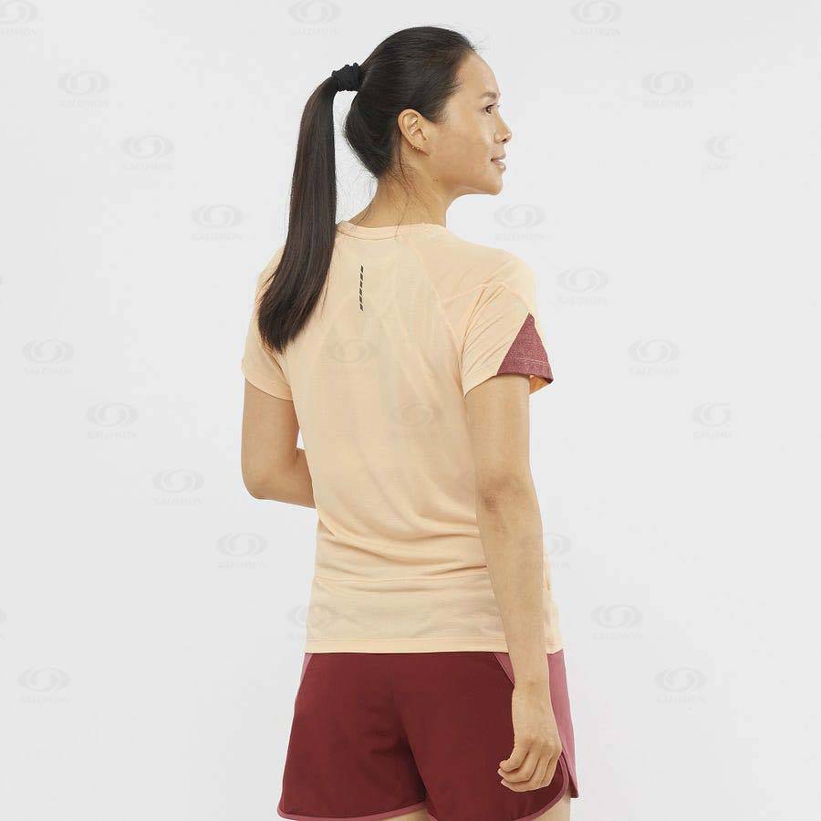 Beige Salomon CROSS RUN Women's T Shirts | US-N2170