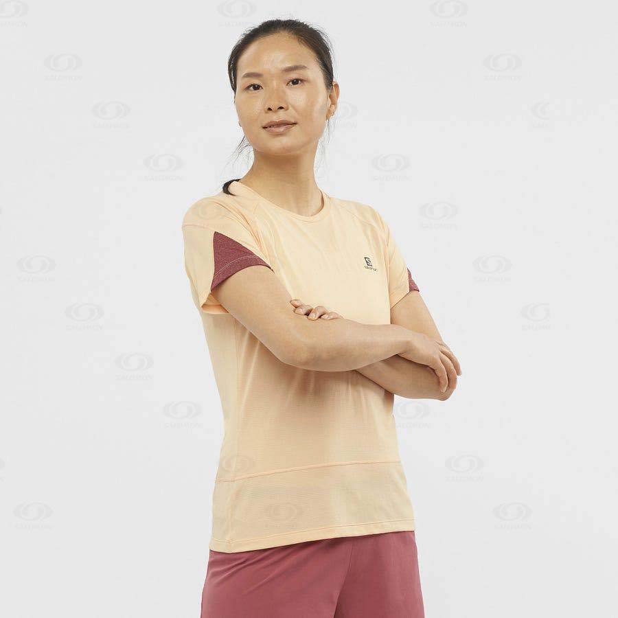 Beige Salomon CROSS RUN Women's T Shirts | US-N2170