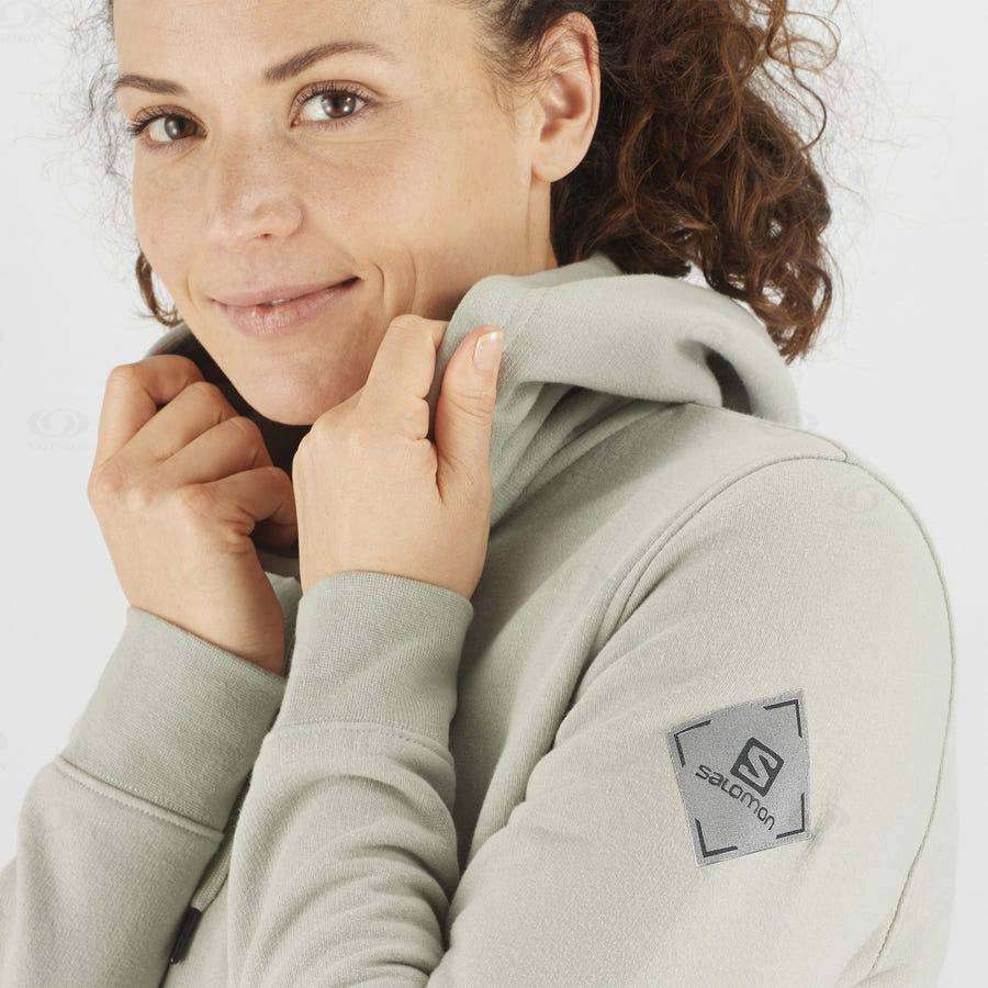 Beige Salomon ESSENTIAL WARM SALOMON Women's Hoodie | US-O2015