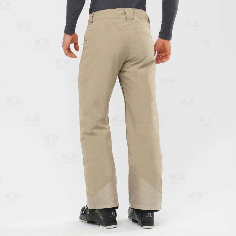 Beige Salomon UNTRACKED Men's Ski Pants | US-M1867