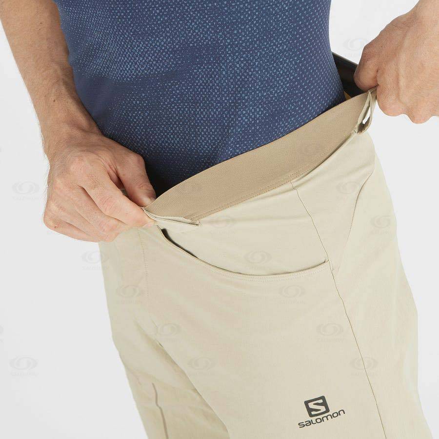 Beige Salomon WAYFARER Men's Shorts | US-O2274