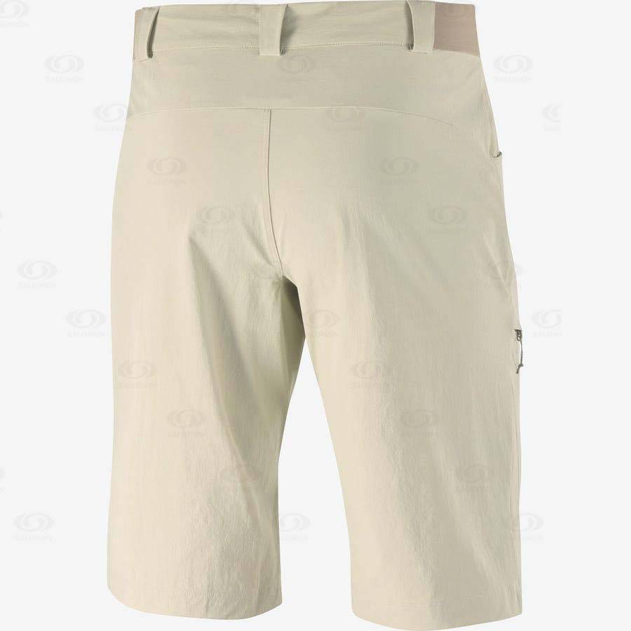 Beige Salomon WAYFARER Men's Shorts | US-O2274