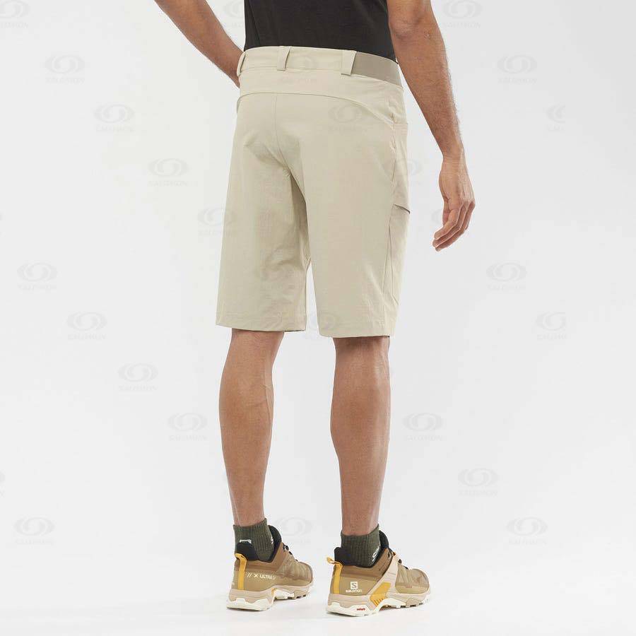 Beige Salomon WAYFARER Men's Shorts | US-O2274