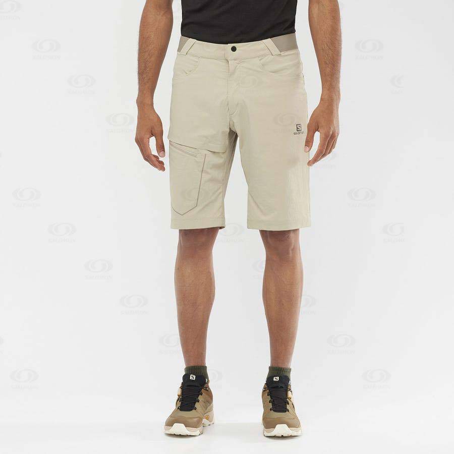 Beige Salomon WAYFARER Men's Shorts | US-O2274