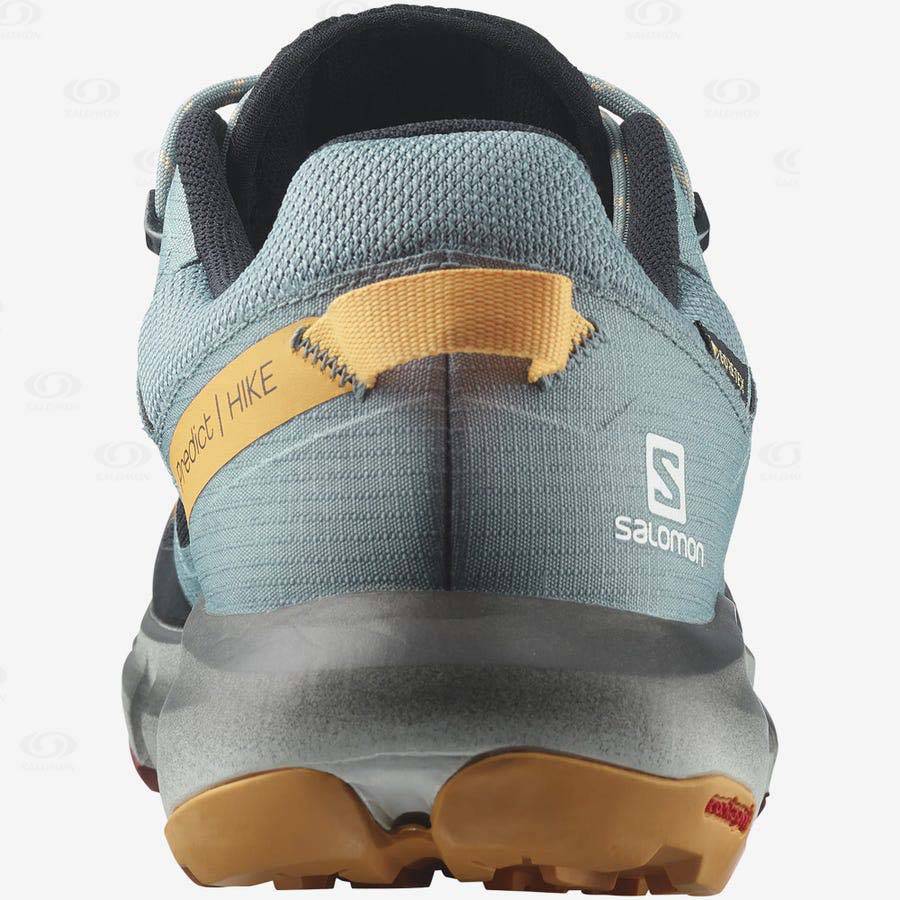 Black / Orange Salomon PREDICT HIKE GORE-TEX Men's Hiking Shoes | US-A1479