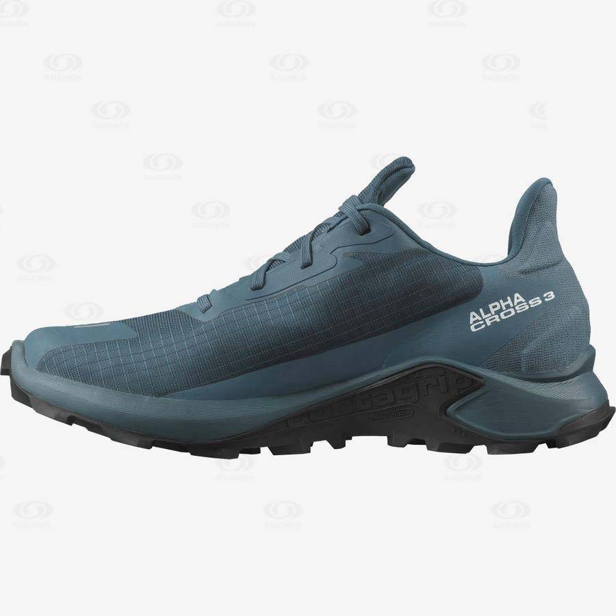 Blue Salomon ALPHACROSS 3 GORE-TEX Men's Waterproof Shoes | US-W2710