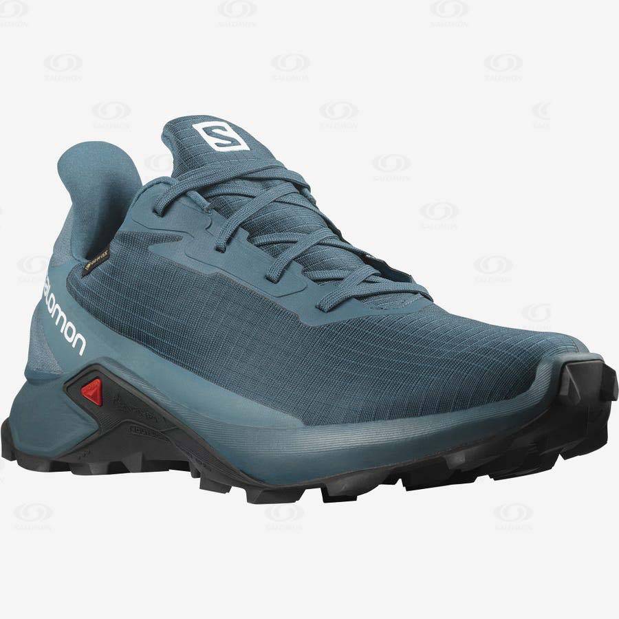 Blue Salomon ALPHACROSS 3 GORE-TEX Men's Waterproof Shoes | US-W2710