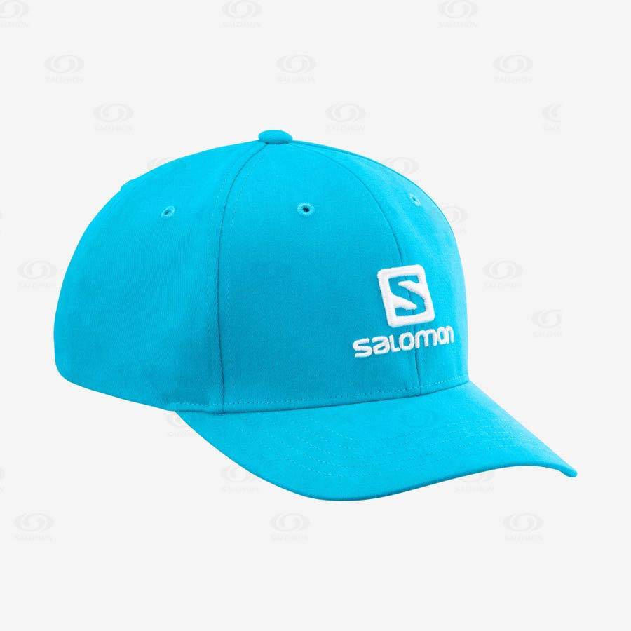 Blue Salomon LOGO Men\'s Hats | US-O1896