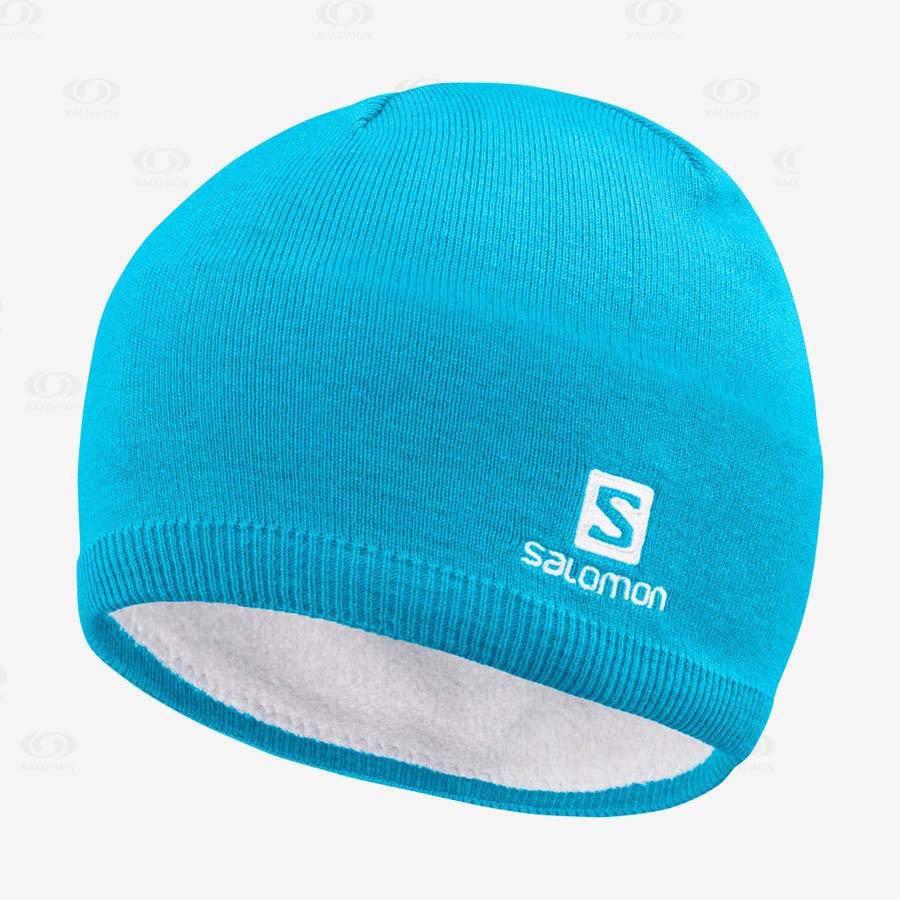 Blue Salomon LOGO Men\'s Hats | US-W3550