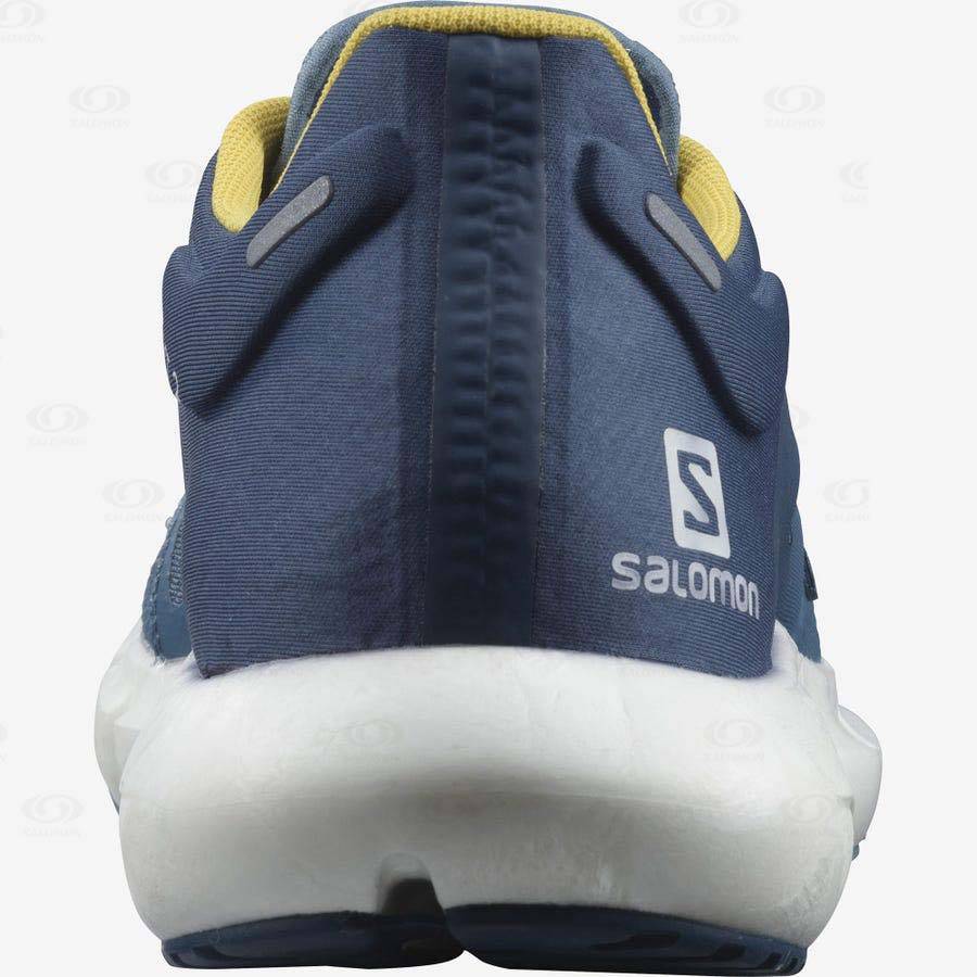 Blue Salomon PREDICT 2 Men's Running Shoes | US-O1490