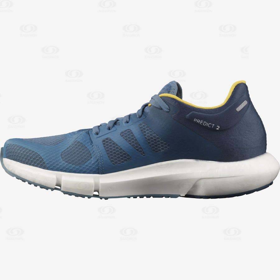 Blue Salomon PREDICT 2 Men's Running Shoes | US-O1490