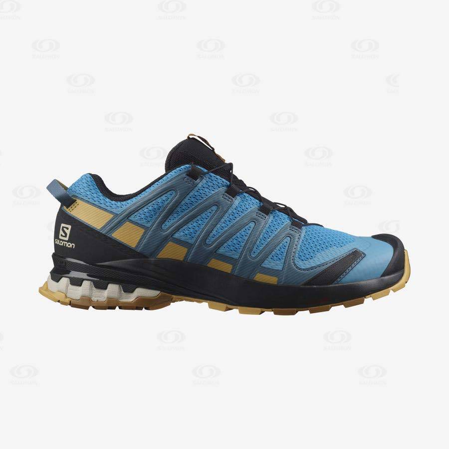 Blue Salomon XA PRO 3D v8 Men\'s Trail Running Shoes | US-N1071