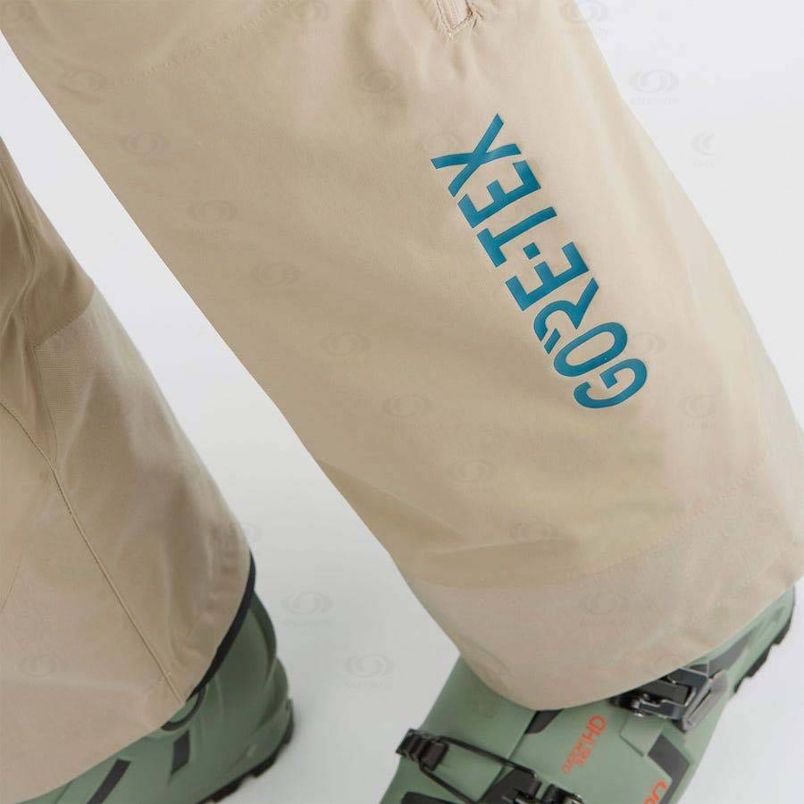 Brown Salomon GRAVITY GORE-TEX Men's Ski Pants | US-O1133