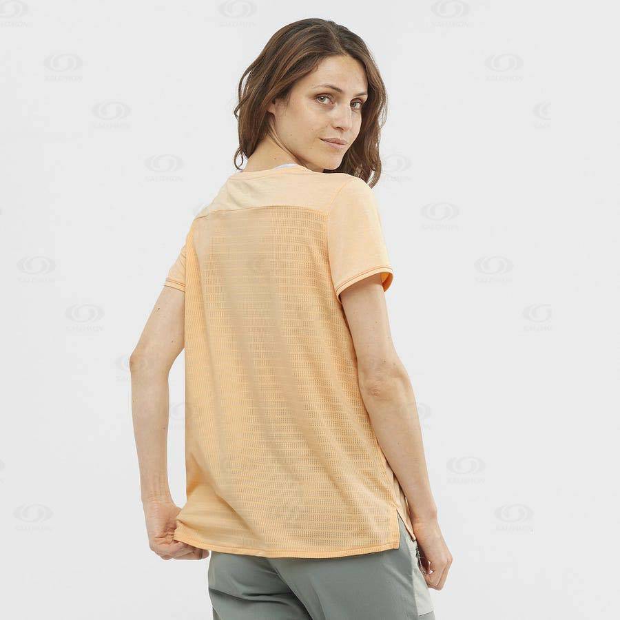 Brown Salomon OUTLINE SUMMER Women's T Shirts | US-W3320