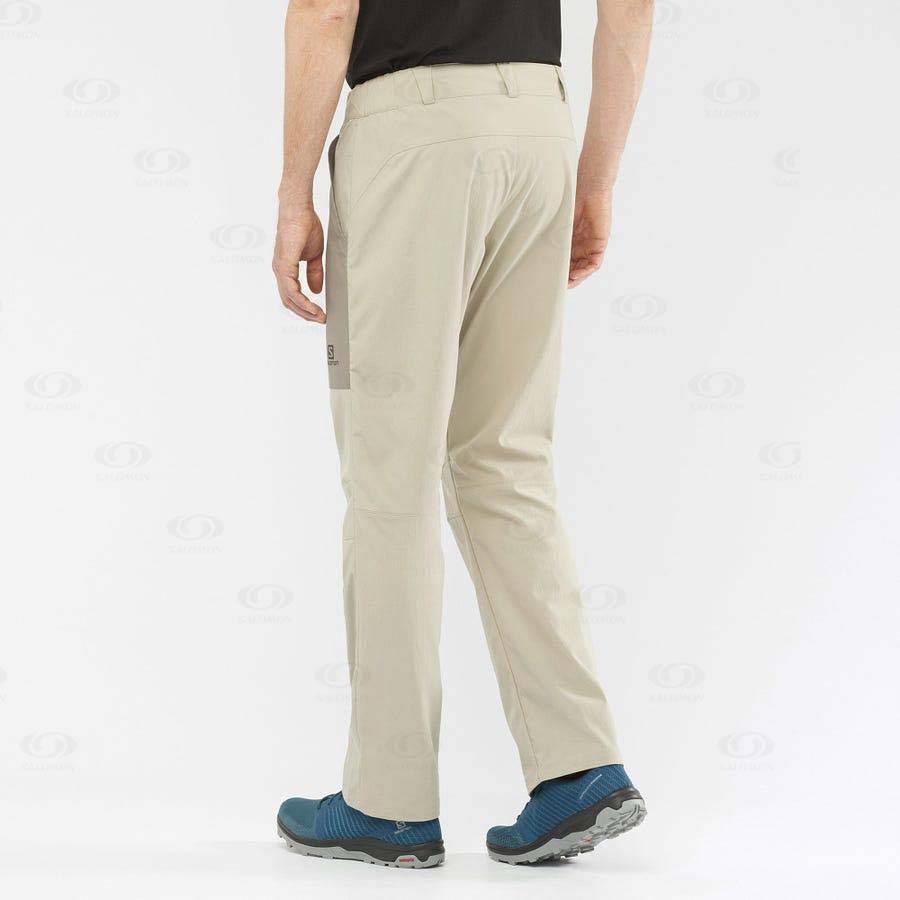 Brown Salomon OUTRACK Men's Pants | US-M2546