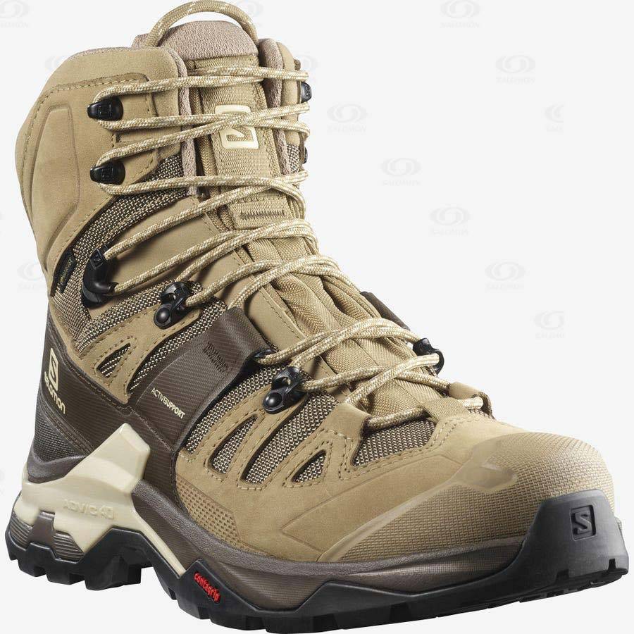 Brown Salomon QUEST 4 GORE-TEX Men's Hiking Shoes | US-O1847