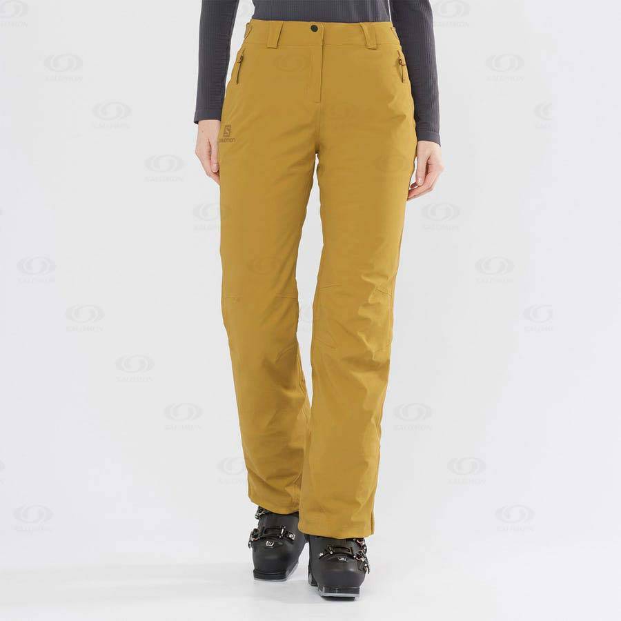 Brown Salomon THE BRILLIANT Women's Ski Pants | US-O1348