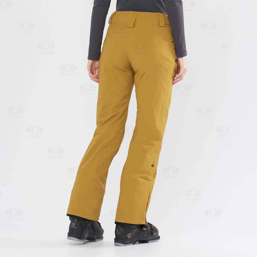 Brown Salomon THE BRILLIANT Women's Ski Pants | US-O1348