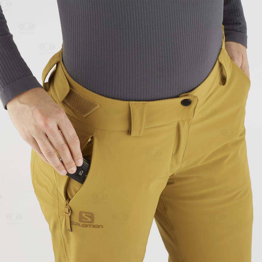 Brown Salomon THE BRILLIANT Women's Ski Pants | US-O1348