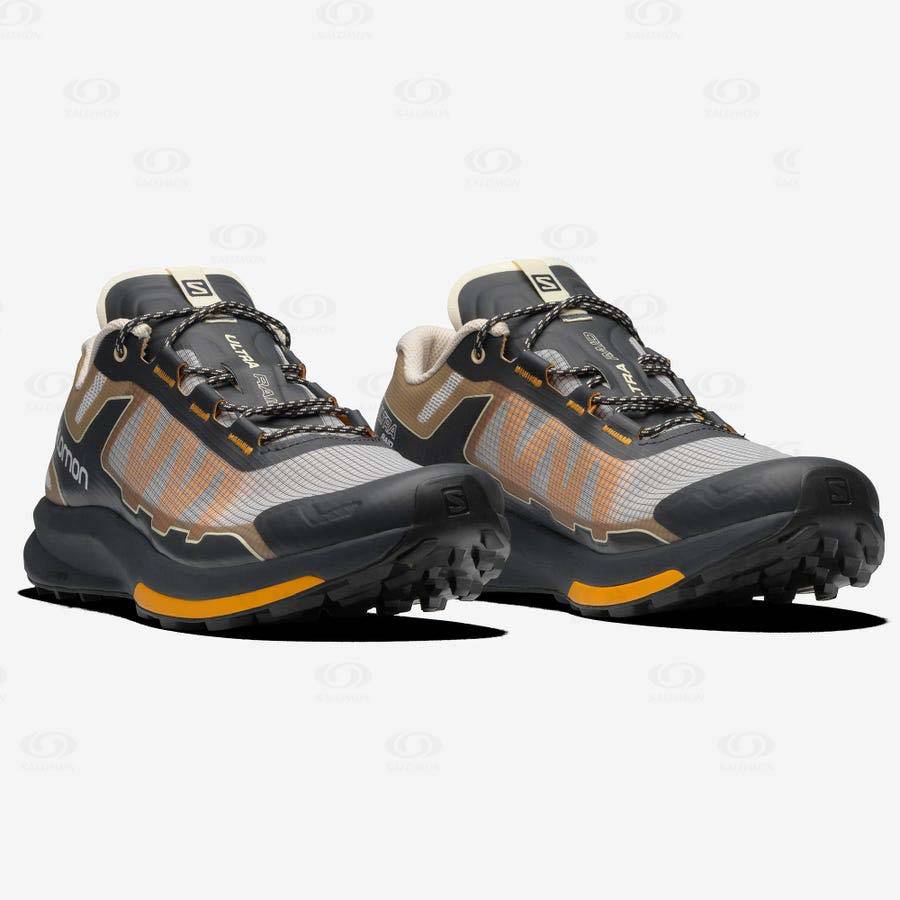 Brown / Silver Salomon ULTRA RAID Men's Sneakers | US-M1398