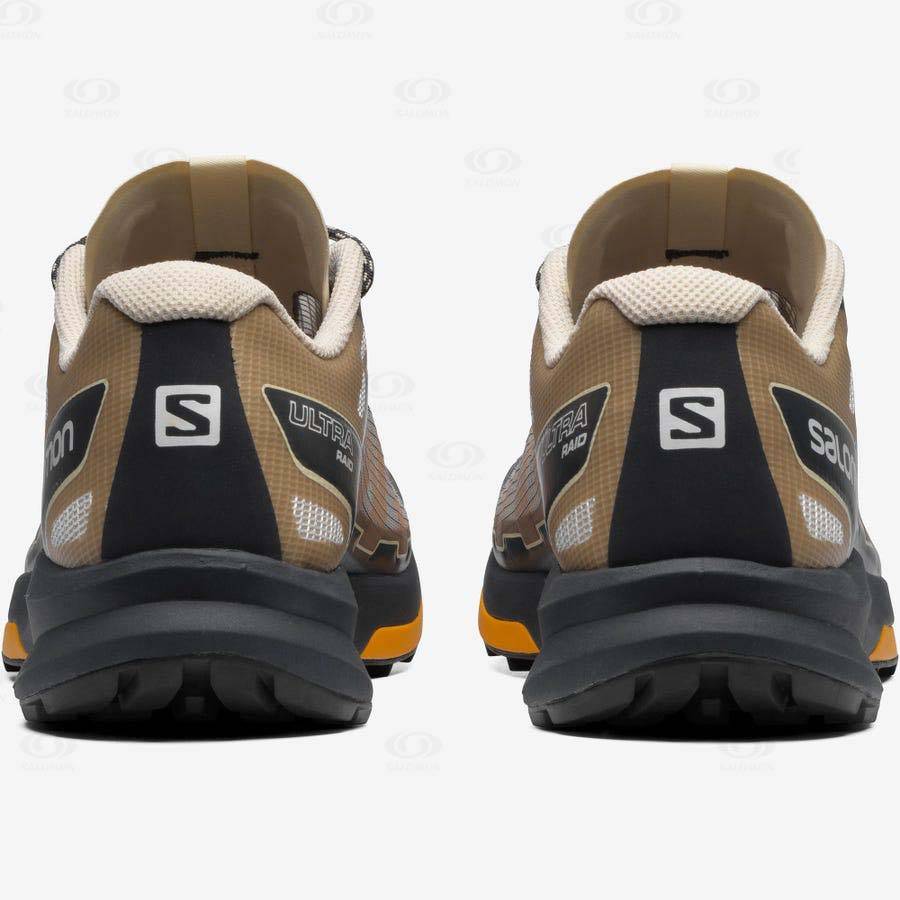 Brown / Silver Salomon ULTRA RAID Men's Sneakers | US-M1398