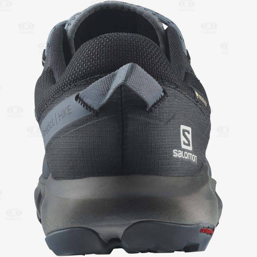 Grey / Black Salomon PREDICT HIKE GORE-TEX Men's Hiking Shoes | US-A2025