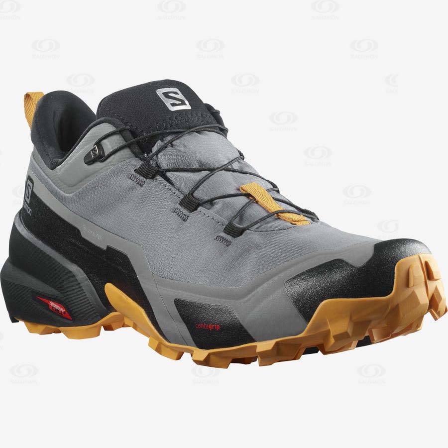 Grey Salomon CROSS HIKE GORE-TEX Men's Hiking Shoes | US-O1469