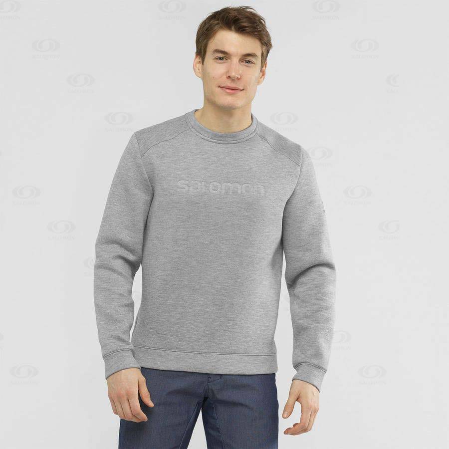 Grey Salomon ESSENTIAL WARM Men's Hoodie | US-N2324