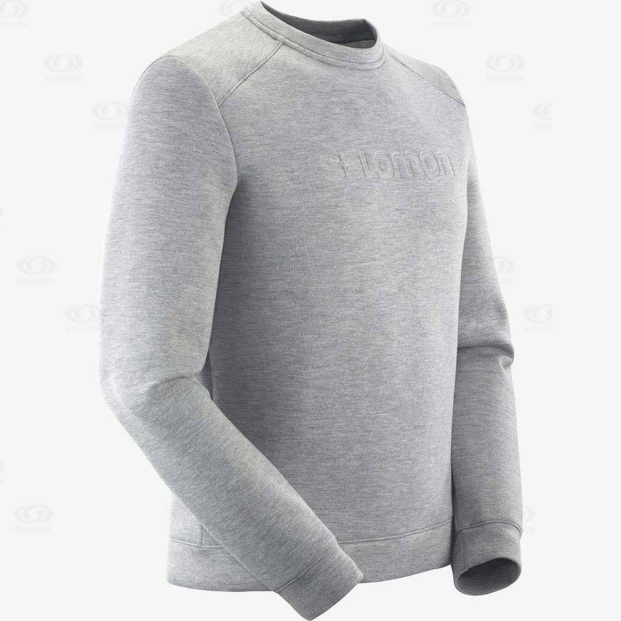 Grey Salomon ESSENTIAL WARM Men's Hoodie | US-N2324