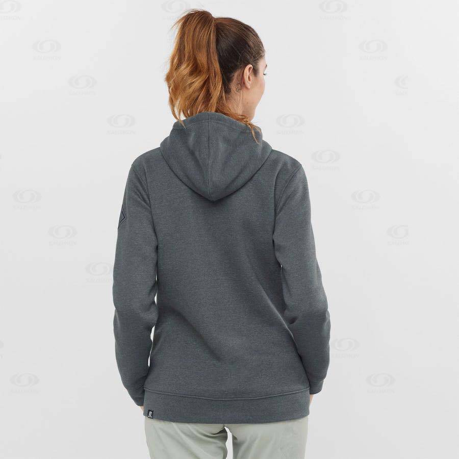 Grey Salomon ESSENTIAL WARM SALOMON Women's Hoodie | US-O1411