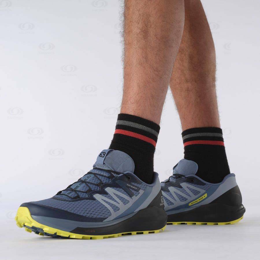 Grey Salomon SENSE RIDE 4 Men's Trail Running Shoes | US-O2370