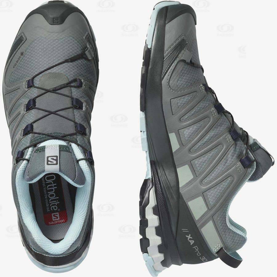 Grey Salomon XA PRO 3D v8 GORE-TEX Women's Waterproof Shoes | US-O1231