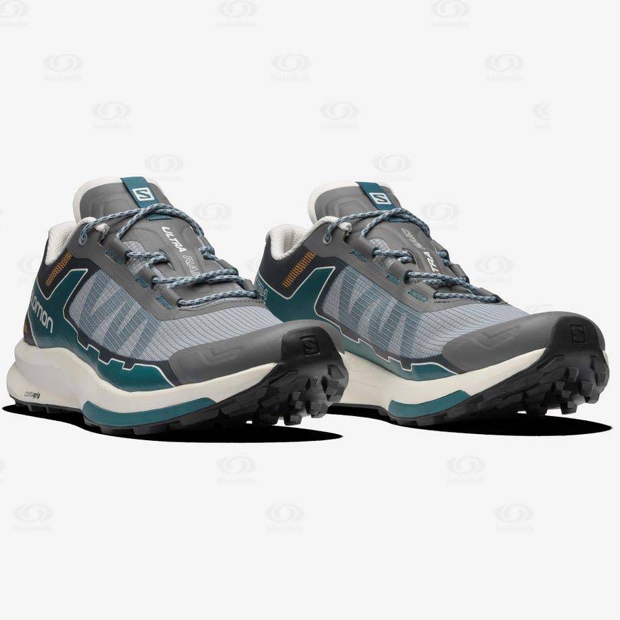 Grey / Silver Salomon ULTRA RAID Men's Sneakers | US-A2116