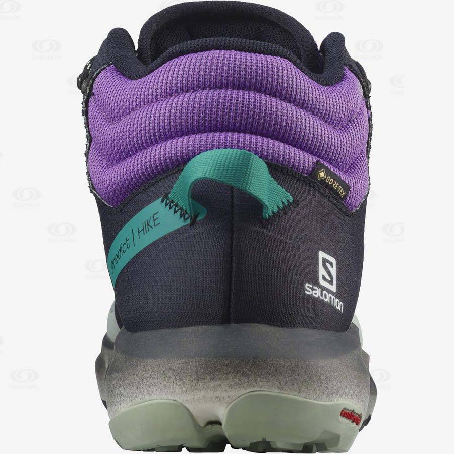 Mint / Purple Salomon PREDICT HIKE MID GORE-TEX Men's Hiking Shoes | US-O2155