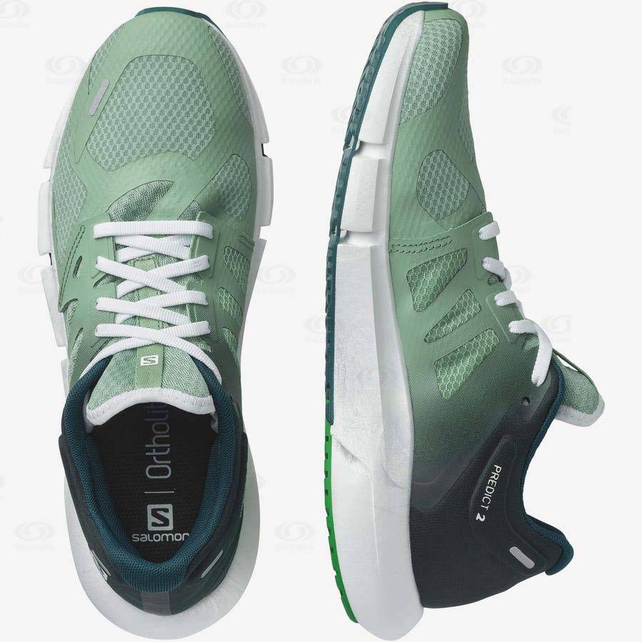 Olive Salomon PREDICT 2 Men's Running Shoes | US-W2600