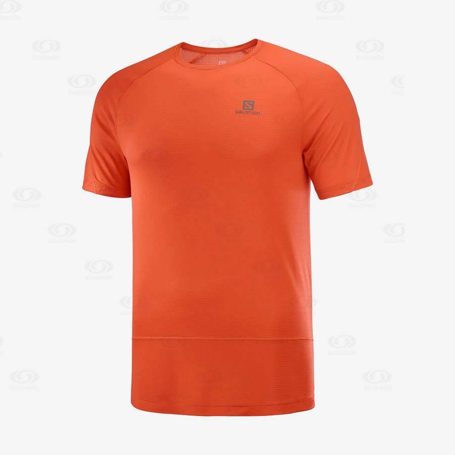 Orange Salomon CROSS RUN Men\'s T Shirts | US-W3270