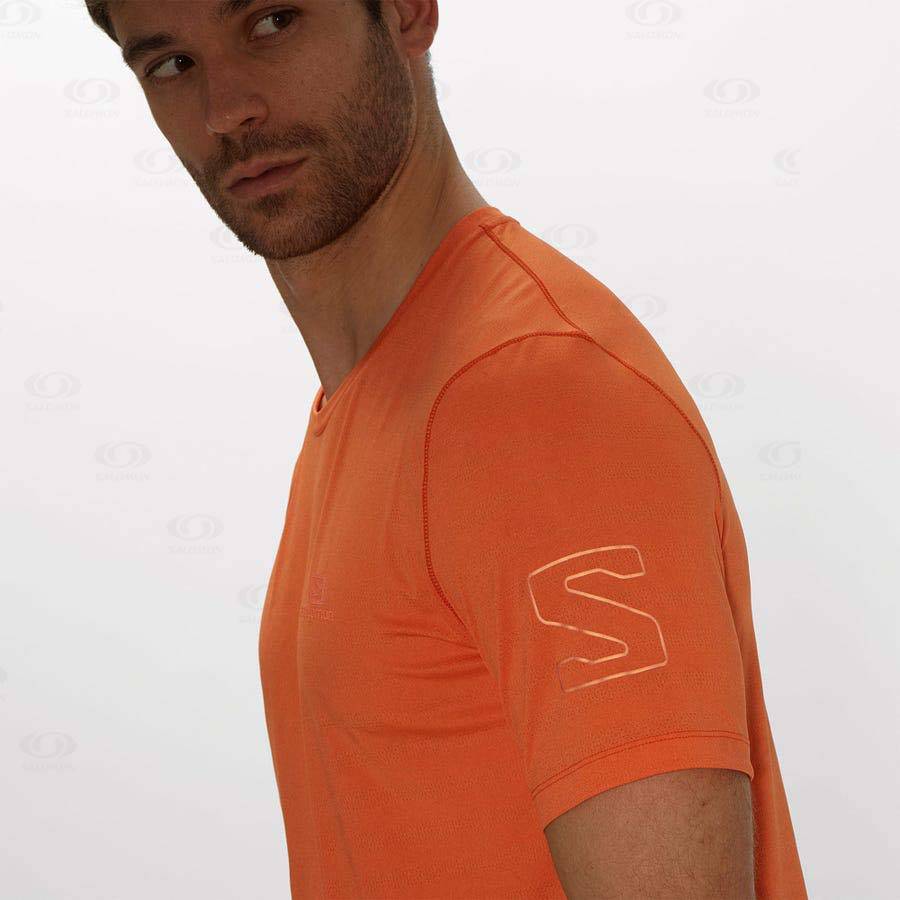 Orange Salomon OUTLINE Men's T Shirts | US-S1807