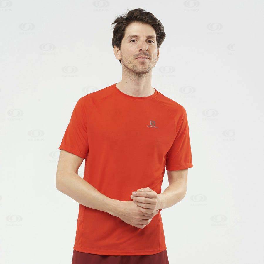 Orange Salomon PROMO CROSS REBEL Men's T Shirts | US-L1921