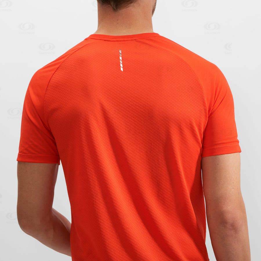 Orange Salomon PROMO CROSS REBEL Men's T Shirts | US-L1921