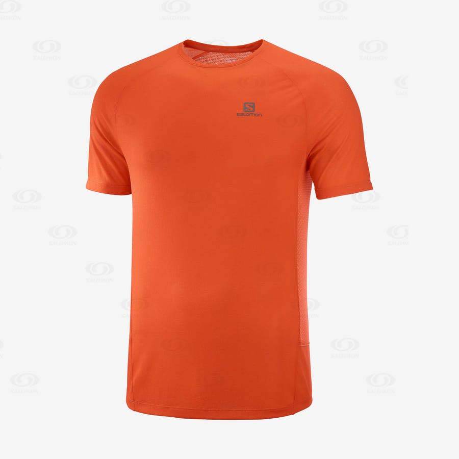 Orange Salomon PROMO CROSS REBEL Men\'s T Shirts | US-L1921