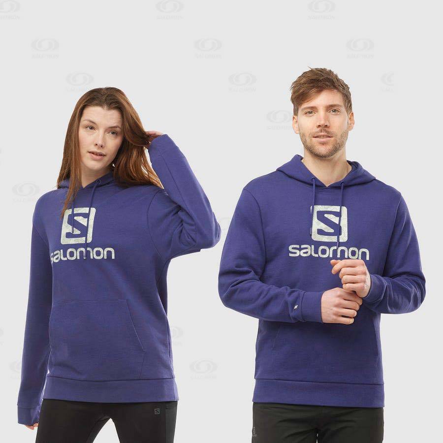 Purple Salomon OUTLIFE LOGO SUMMER Men's Hoodie | US-O2580