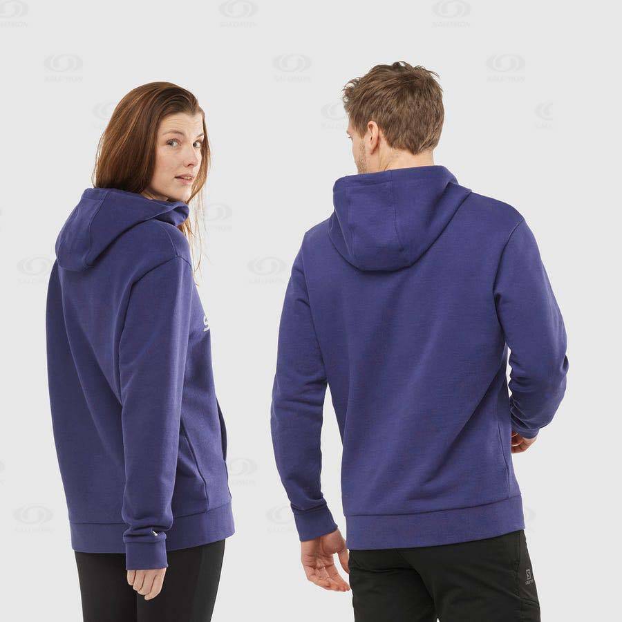 Purple Salomon OUTLIFE LOGO SUMMER Men's Hoodie | US-O2580