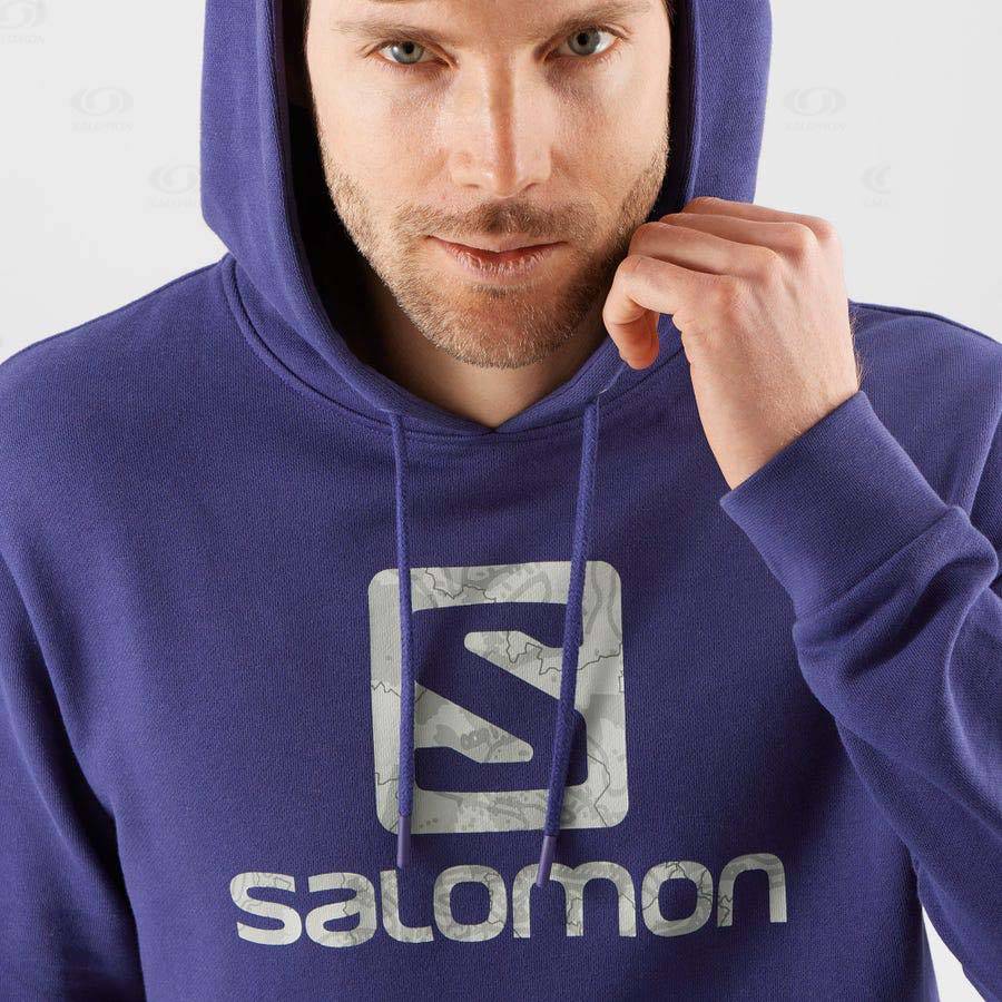 Purple Salomon OUTLIFE LOGO SUMMER Men's Hoodie | US-O2580