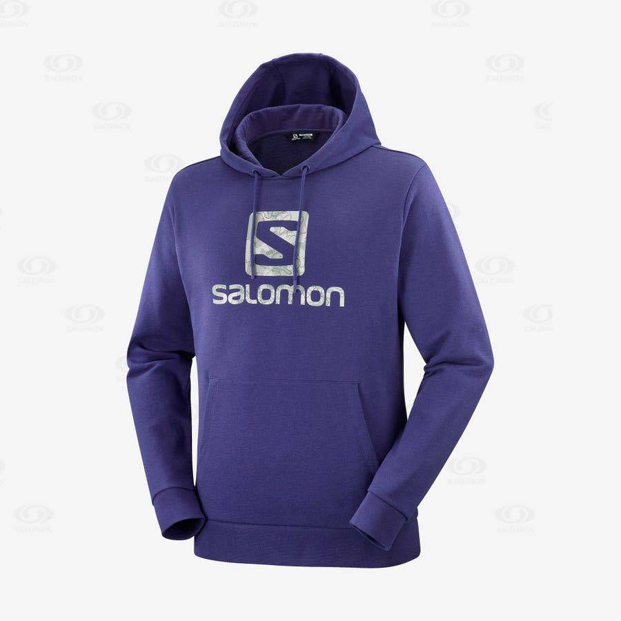 Purple Salomon OUTLIFE LOGO SUMMER Men\'s Hoodie | US-O2580