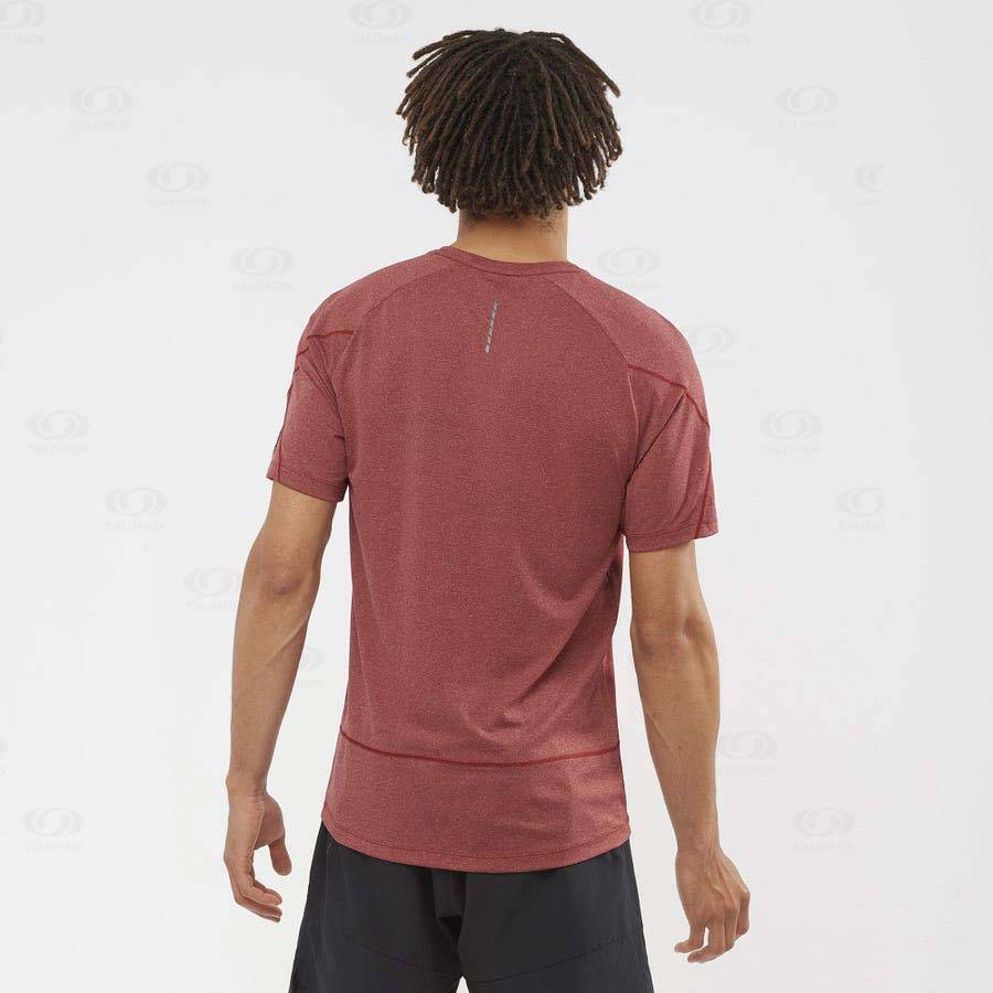 Red Salomon CROSS RUN GRAPHIC Men's T Shirts | US-N2240