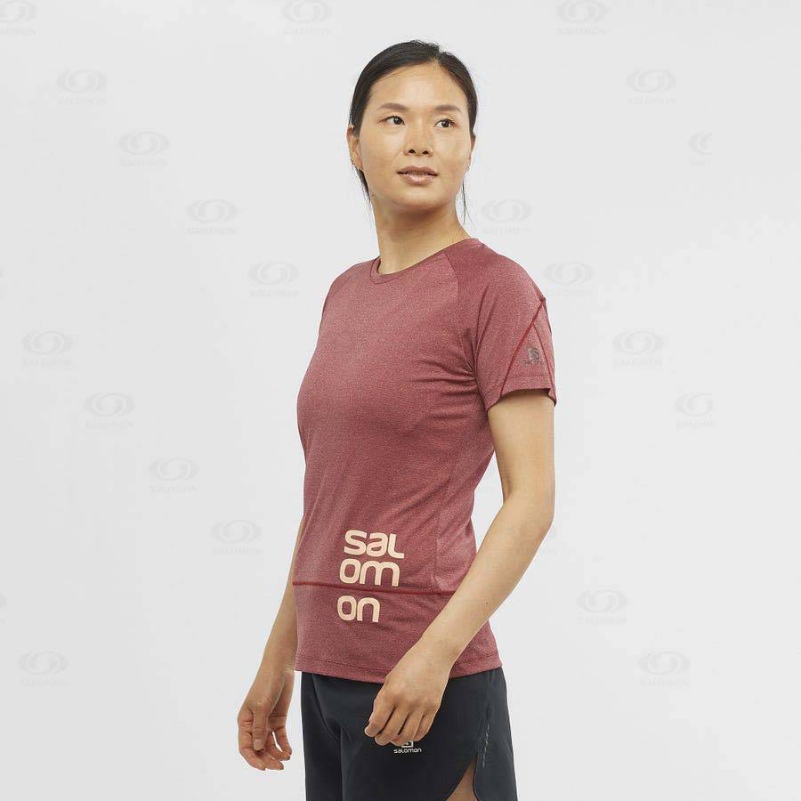 Red Salomon CROSS RUN GRAPHIC Women's T Shirts | US-O1089