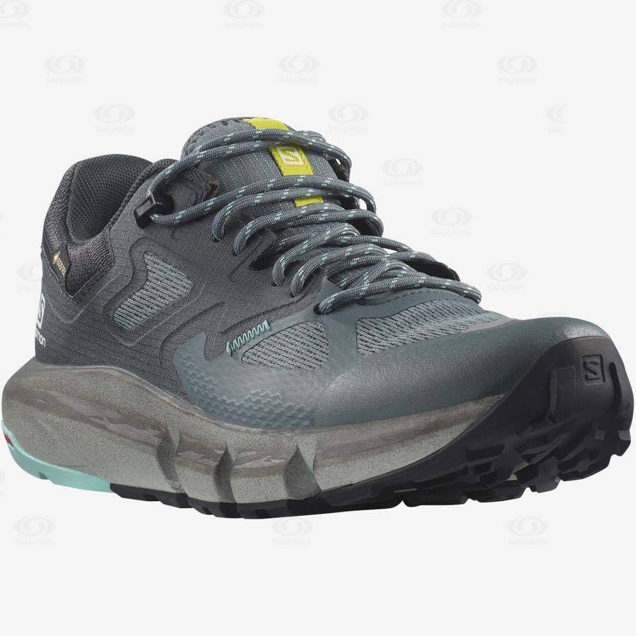 Silver Salomon PREDICT HIKE GORE-TEX Women's Waterproof Shoes | US-M1321