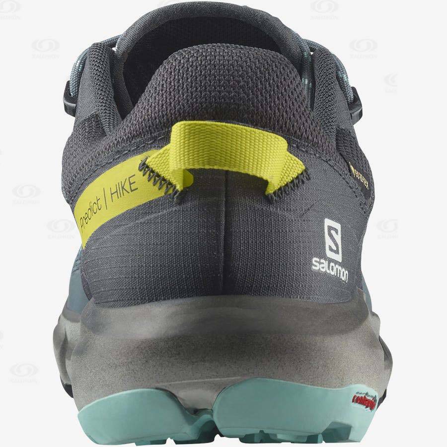 Silver Salomon PREDICT HIKE GORE-TEX Women's Waterproof Shoes | US-M1321