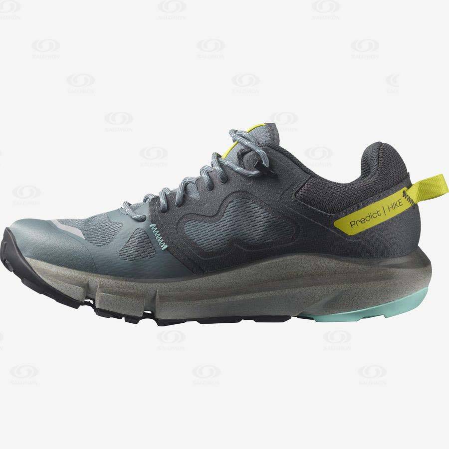 Silver Salomon PREDICT HIKE GORE-TEX Women's Hiking Shoes | US-S2276