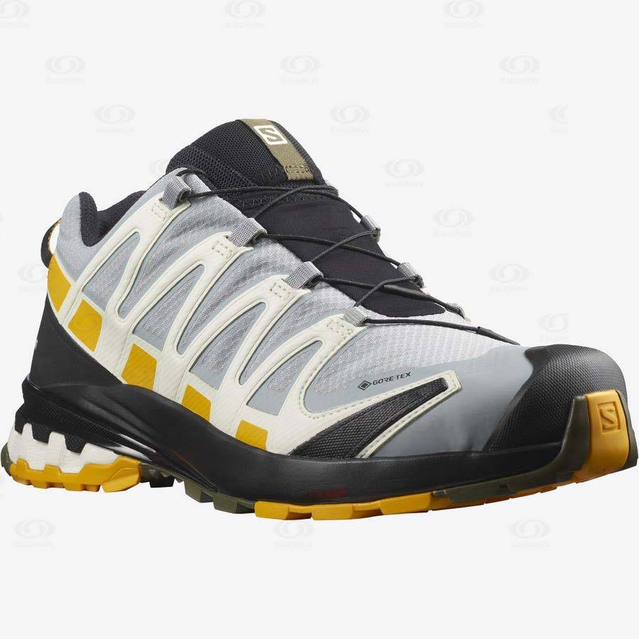 Silver Salomon XA PRO 3D v8 GORE-TEX Men's Waterproof Shoes | US-A2424